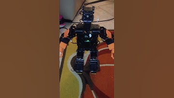 Chap - detect fall over and stand up