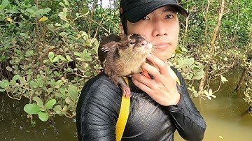 Rái cá Titi thấy ngư dân sợ xanh mặt không dám nhìn còn tiên cá Tiun thích quan sát cách bắt cá mới