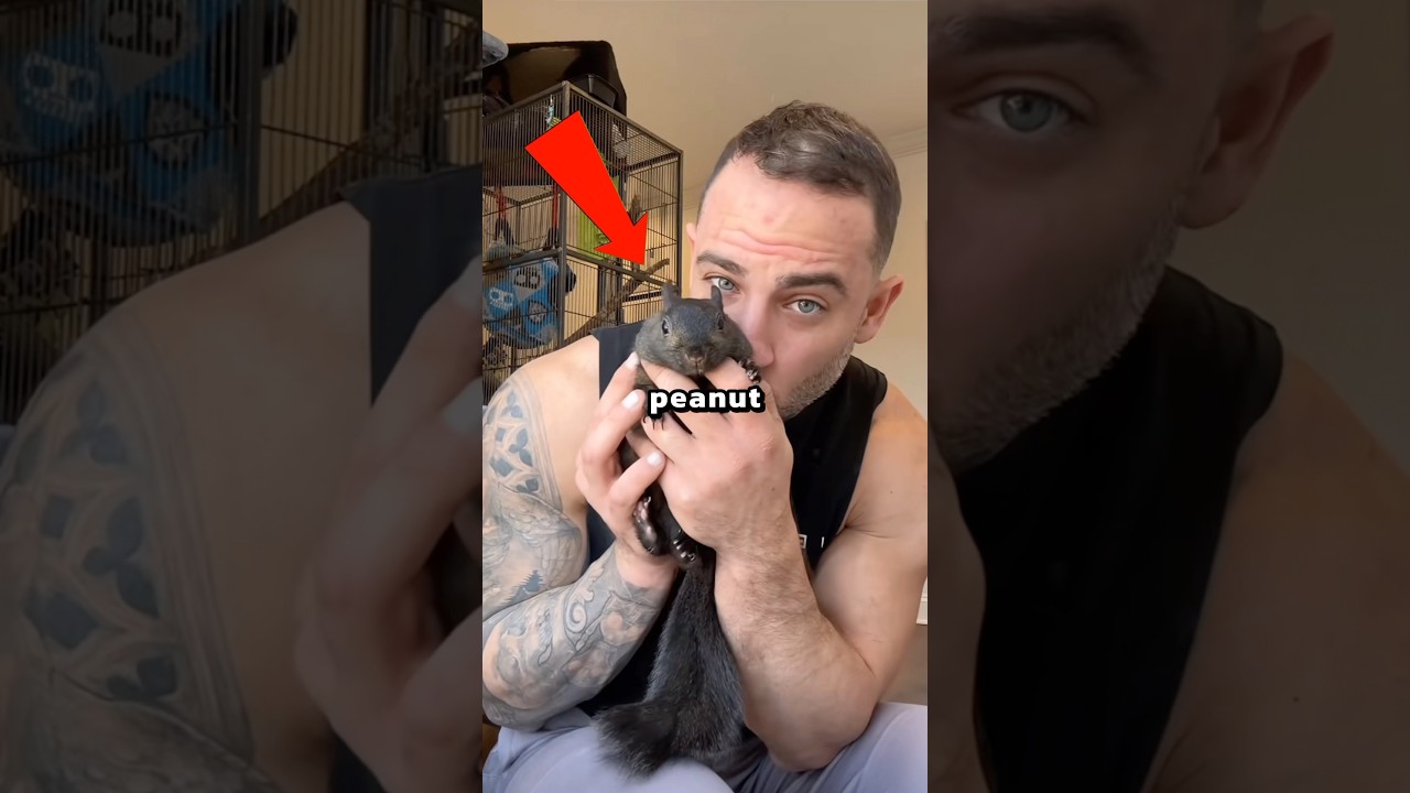 Покойся с миром, белка Пинат и енот Фред!