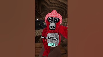 Day 5 of joining my fan code until 1,000 subscribers #gorillatagquest