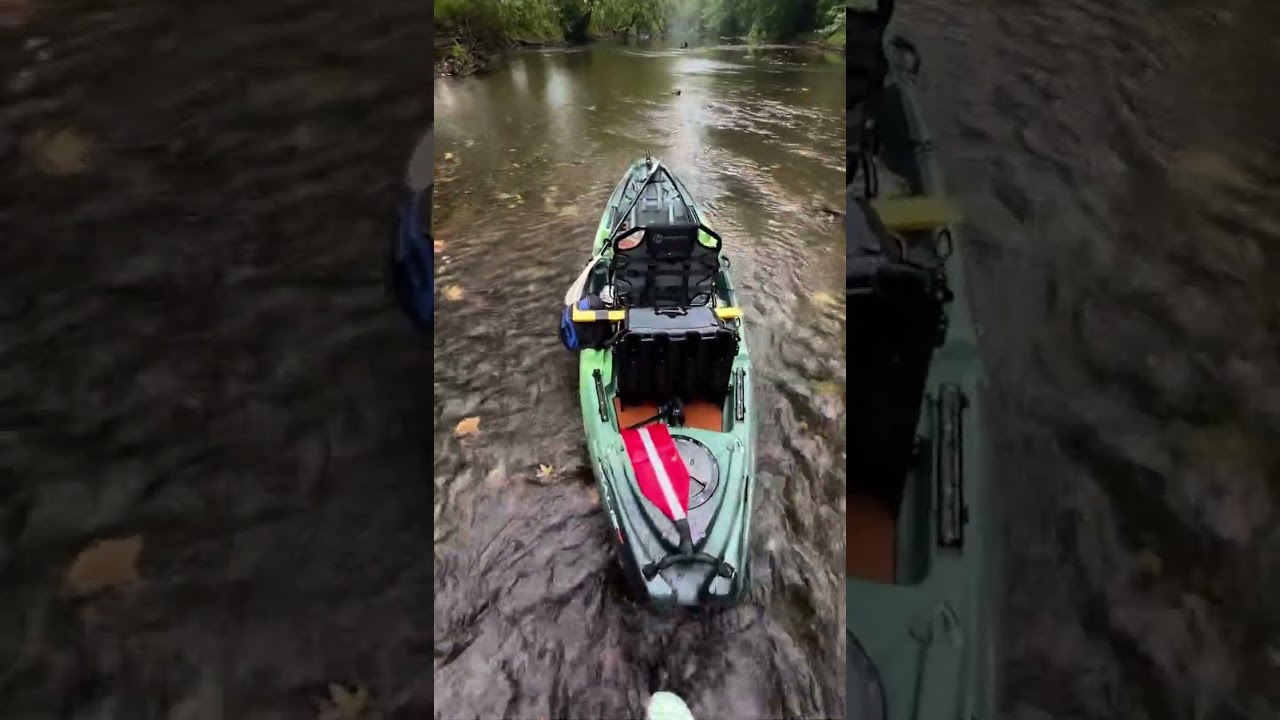 A CRESCENT SHOALIE IN ITS NATUAL HABITAT 