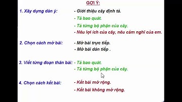 Tập làm văn 4 - Bài 52 : LT miêu tả cây cối - Tuần 26 trang 83