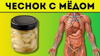 Ешьте утром ЧЕСНОК с МЁДОМ натощак. Результат вас точно удивит! 96% не знают что оно может творить..