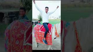 Jitna Barati Mari Baart Mai Sare Goda Lara