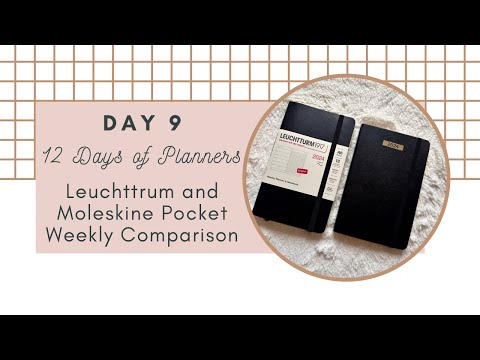 Moterm Honey A6 Plus Review - What Fits? (Hobonichi, Hibino, Midori, Muji,  Moleskine) 