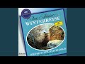 Miniature de la vidéo de la chanson Winterreise, D. 911: Irrlicht