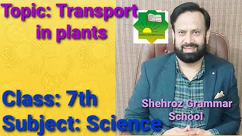 class 7 science chapter 2 transport in plants
