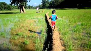 baluralata-piyabanna-ba-sinhala-kid---songs-sinhala-lama-gee--e0-b7-83-e0-b7-92-e0-b6-82-e0-b7-84-e0-b6-bd--e0-b7-85-e0-b6-b8-e0-b7-8f--e0-b6-9c-e0-b7-93-e0-b6-ad--e0-b7-80-e0-b7-93-e0-b6-a9