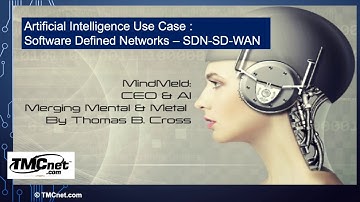 Artificial Intelligence Use Case : SD-WAN Software Defined Wide Area Networks