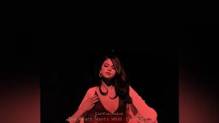 Selena gomez~the heart wants what it ...