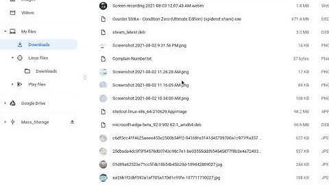 How to play non steam windows games on Linux with Proton steam?