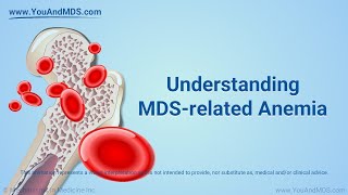 Understanding MDSrelated Anemia