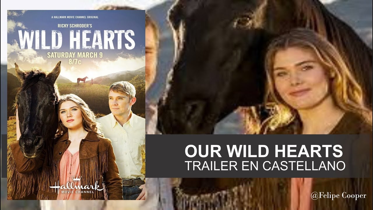 our wild hearts official trailer 