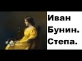 Иван Бунин. Степа. Из серии: Темные аллеи.