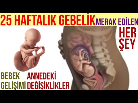 Video: 25 Haftalık Hamilelik: Duyular, Fetal Gelişim