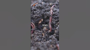 Why Is Mars Called the "Red Planet"? The Origin of Its Name!