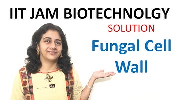 IIT JAM Biotechnology 2020 solved question from cell biology