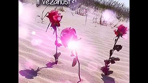 Da li je to kod tebe ljubav ili vezanost?!