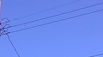 Days are "numbered"...please do this