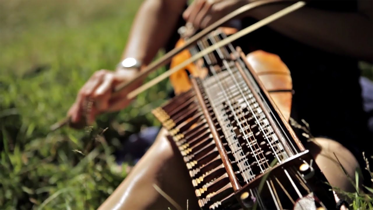 Josefina's Nychelharpa