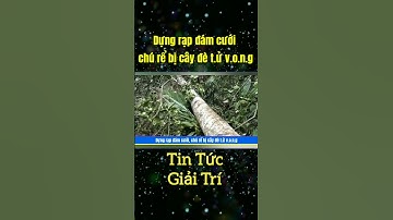 Tin Tức Giải Trí |  Dựng rạp đám cưới, chú rể bị cây đè t.ử v.o.n.g