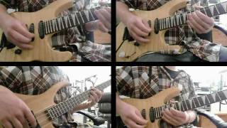 Pink Floyd, Dogs.  Guitar solo cover.