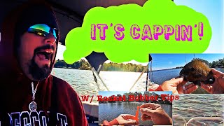 BIG Bluegills On WINDY Day & TIPS FOR THE ROCKET BOBBER