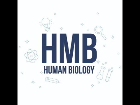 introduction to human biology Edexcel IGCSE