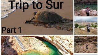 Trip to sur in oman ||sink hole park in sur||Turtle Beach in sur