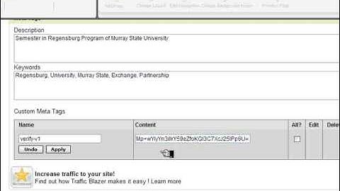 Adding Google Analytics and Webmaster Tools to a Web Site Tonight Site