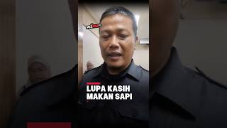 Anggota DPRD Jember Mengaku Main Game Sambil Rapat karena Lupa Memberi Makan “Sapi”