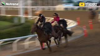 Sidesaddle Racing at the Calgary Stampede Net Worth