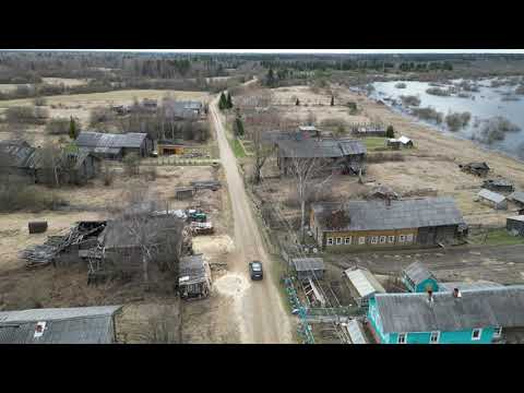 Архангельская косуля - фото.
