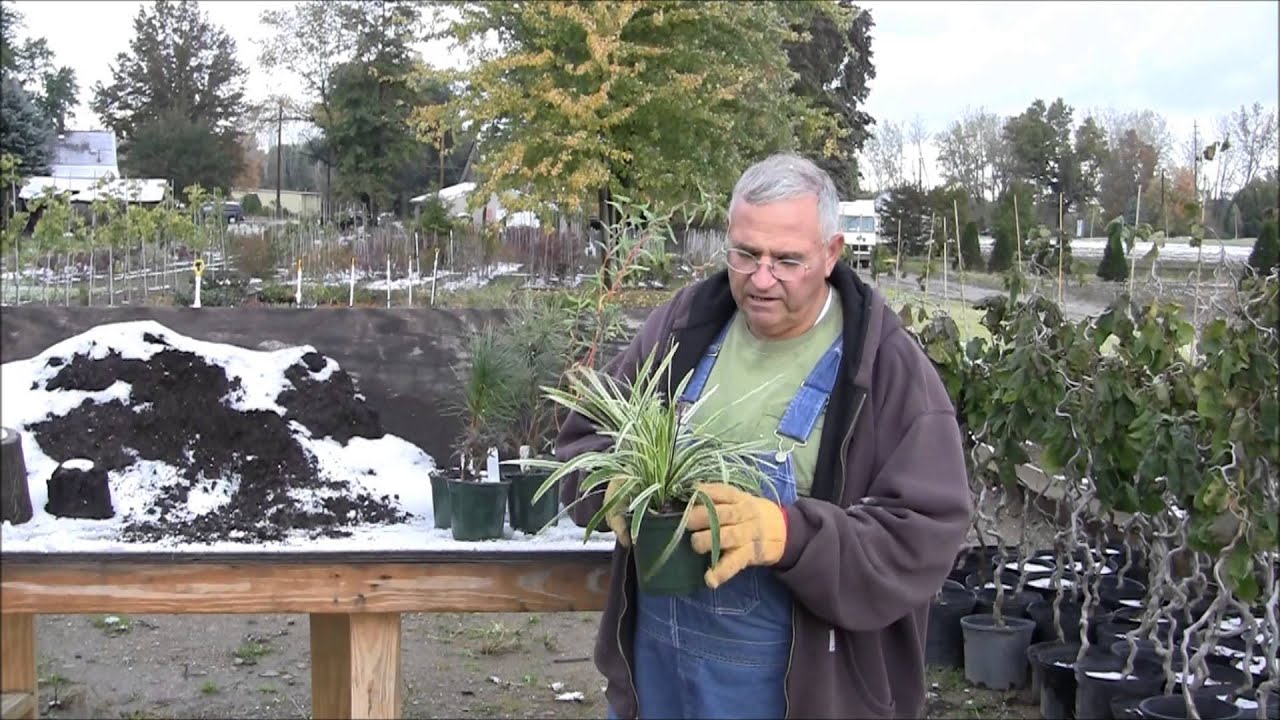 Mike Mcgroarty S 4 97 Nursery Pot Youtube