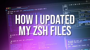 I customized my zsh files for my terminal setup