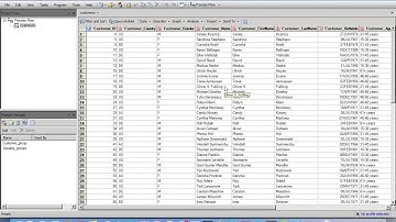 L8  Creating Prompts in SAS EG