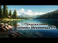 предсказания пророка Мухаммада ﷺ начали сбываться...