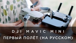 DJI Mavic Mini - Первый полёт (на русском)