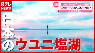 “絶景”守る取り組みも…九州にある日本の“ウユニ塩湖”　福岡・福津（2021年6月16日放送「news every.」より）