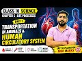 Class 10 Science Chapter 5 (Part 5) |Human Circulatory System Explained 