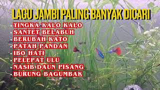 Download Lagu Tingka Kalo kalo | lagu jambi yang lagi viral MP3