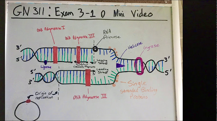 Drag the labels onto the diagram to identify the components of