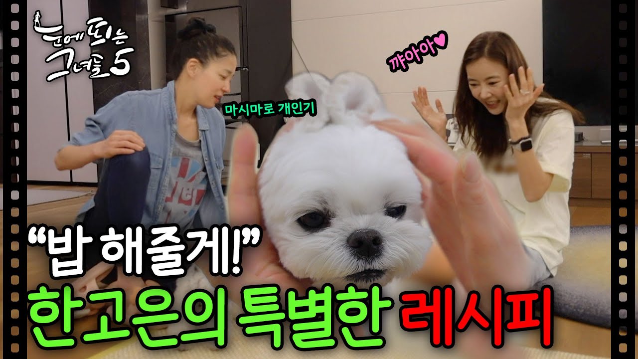 못 하는 게 없는 탑여배우 한고은, 이번에는 반려견 밥까지?ㅣ눈에 띄는 그녀들5
