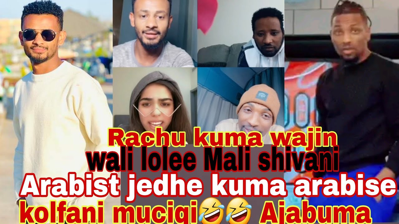 Rachu kuma wajin wali lolee Shivani🤣 Arabiste jedhe kuma arabise Rachun kolfan muciq🤣🤣Ajabuma be