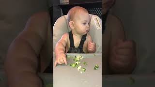 Baby chews broccoli and spits it out