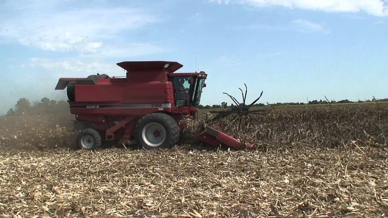 Combine Corn Reel in Down Corn by Meteer Manufactuing - YouTube