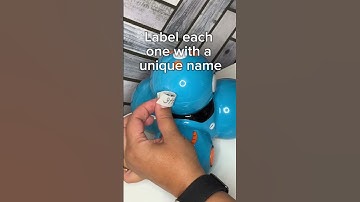 How to Name Each Physical Dash Robot in Your Classroom
