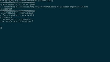 HTTP Header Injection testing