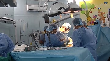 Tin Tức 24h: Đẩy mạnh kỹ thuật ghép gan từ người cho sống