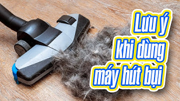 Lưu ý khi sử dụng máy/robot hút bụi với nhà nuôi thú cưng